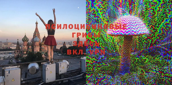 spice Кинешма