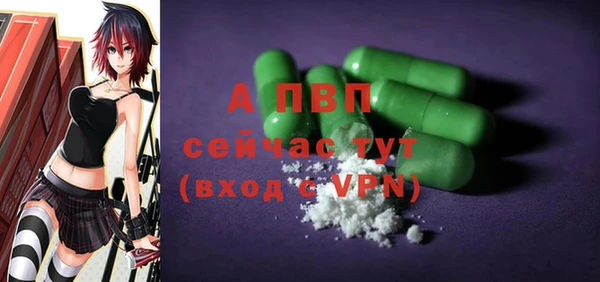spice Кинешма