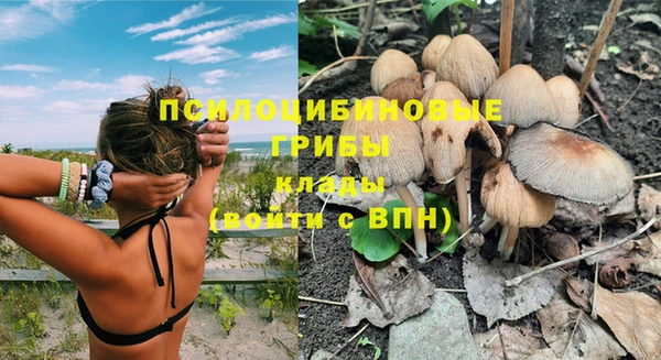дурь Киреевск