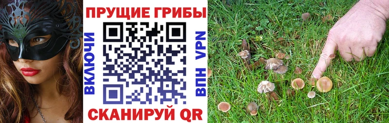 Галлюциногенные грибы GOLDEN TEACHER ОМГ ОМГ как войти Певек